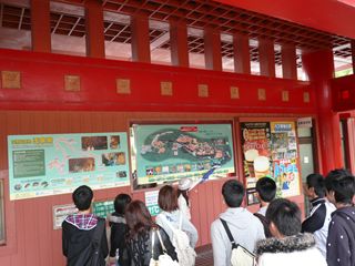 Photo Image