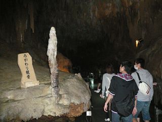 Photo Image