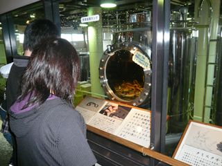 Photo Image